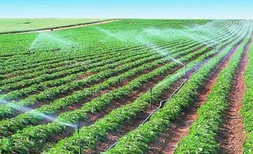 粉b免费观看农田高 效节水灌溉